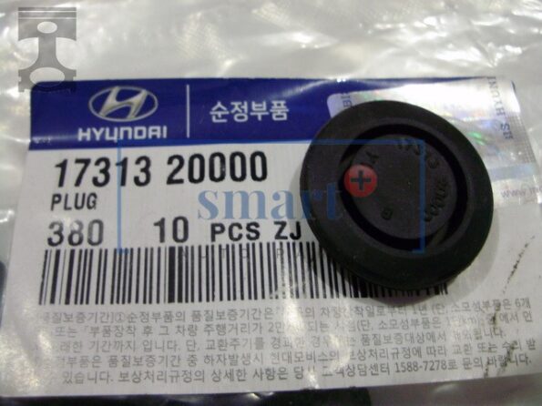 17313-25000 PLUG