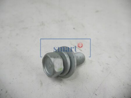 11294-10256K BOLT
