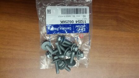 11254-06256K BOLT